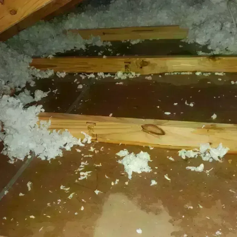 Attic Water Damage in Sussex, NJ