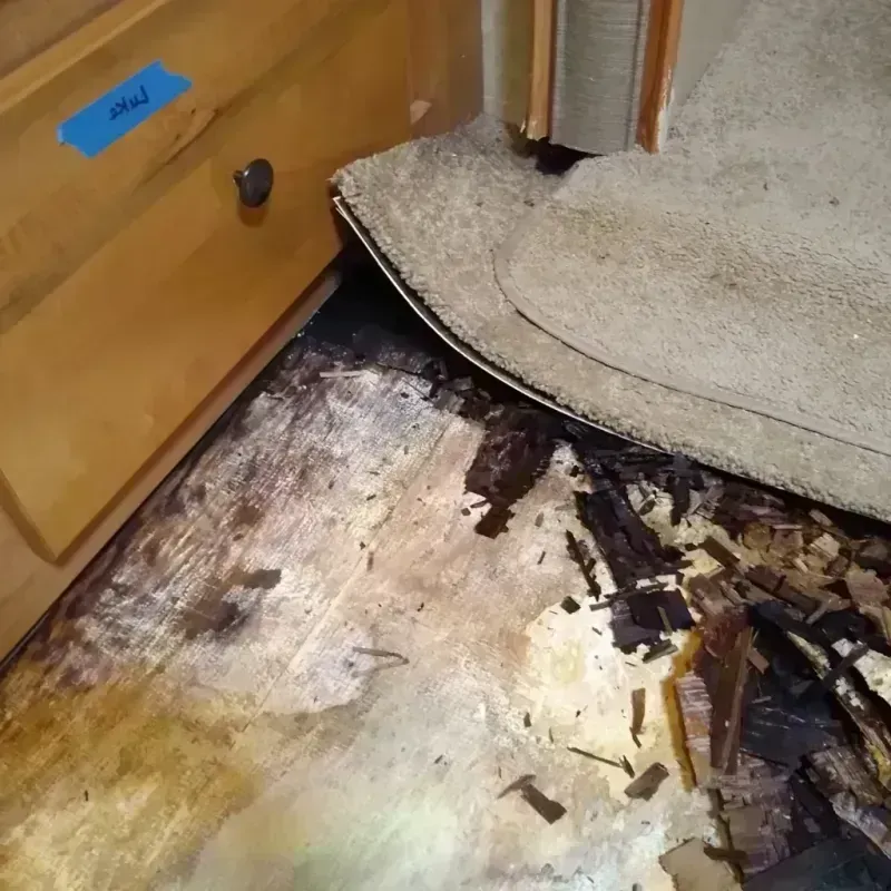 Best Wood Floor Water Damage Service in Sussex, NJ